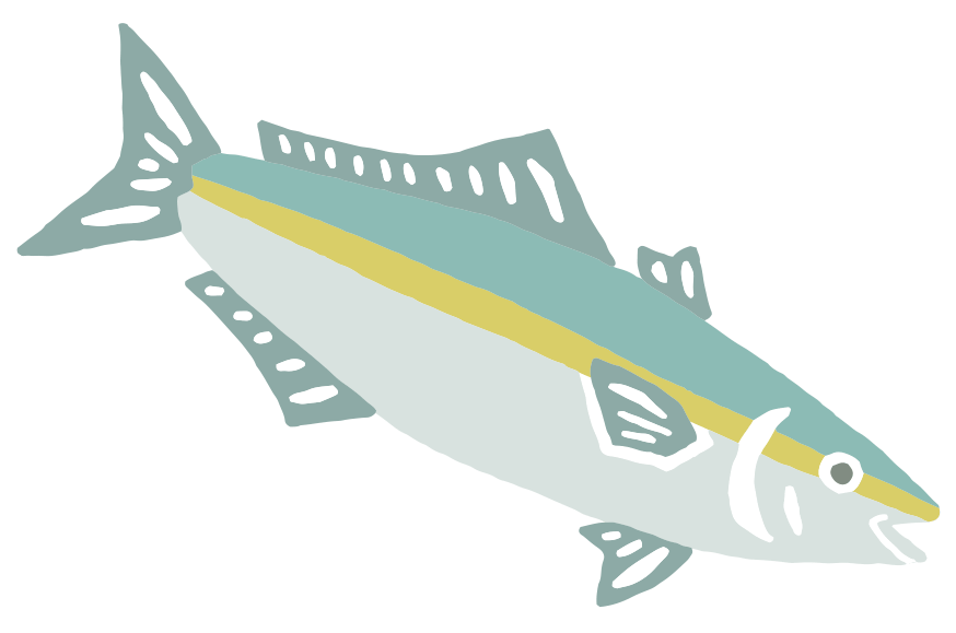 カツオ