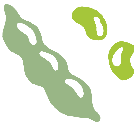 豆