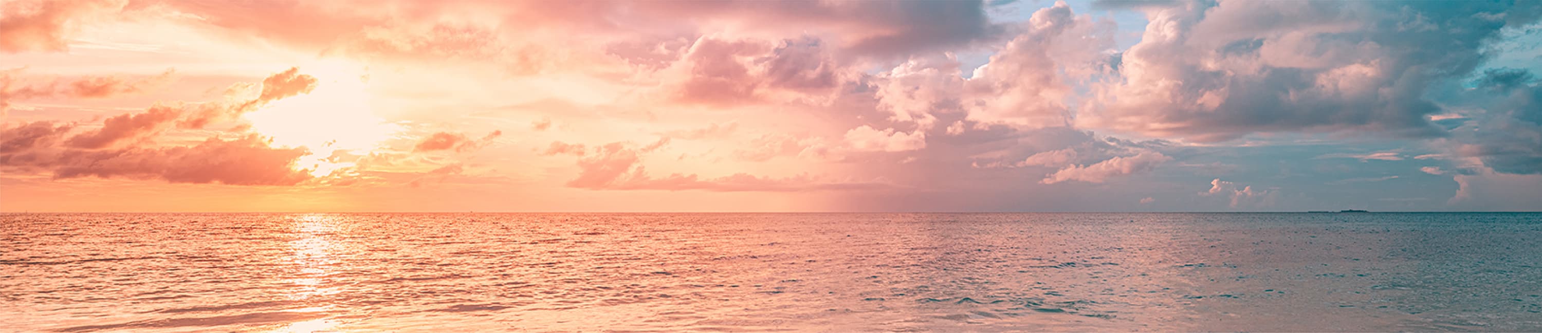 海