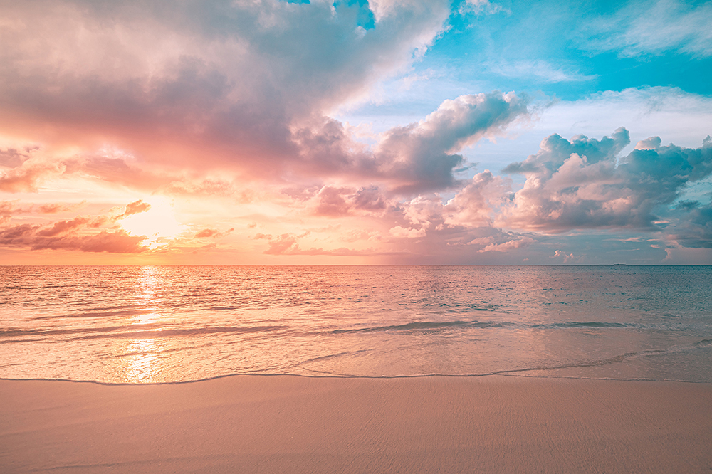 海